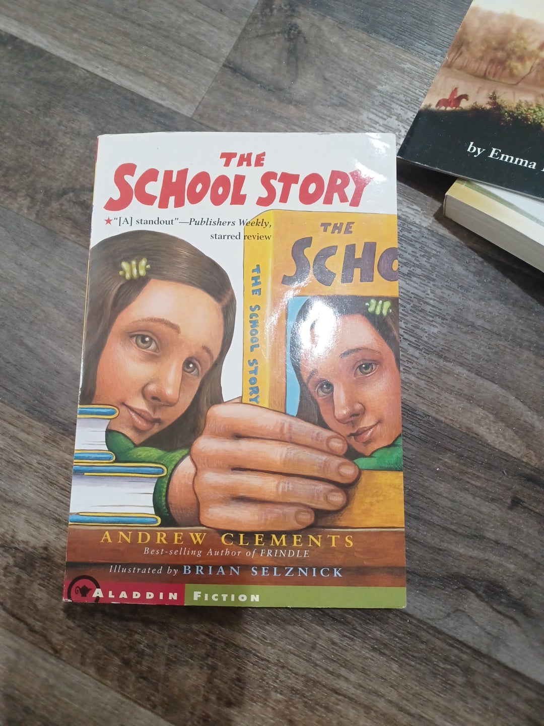 The School Story