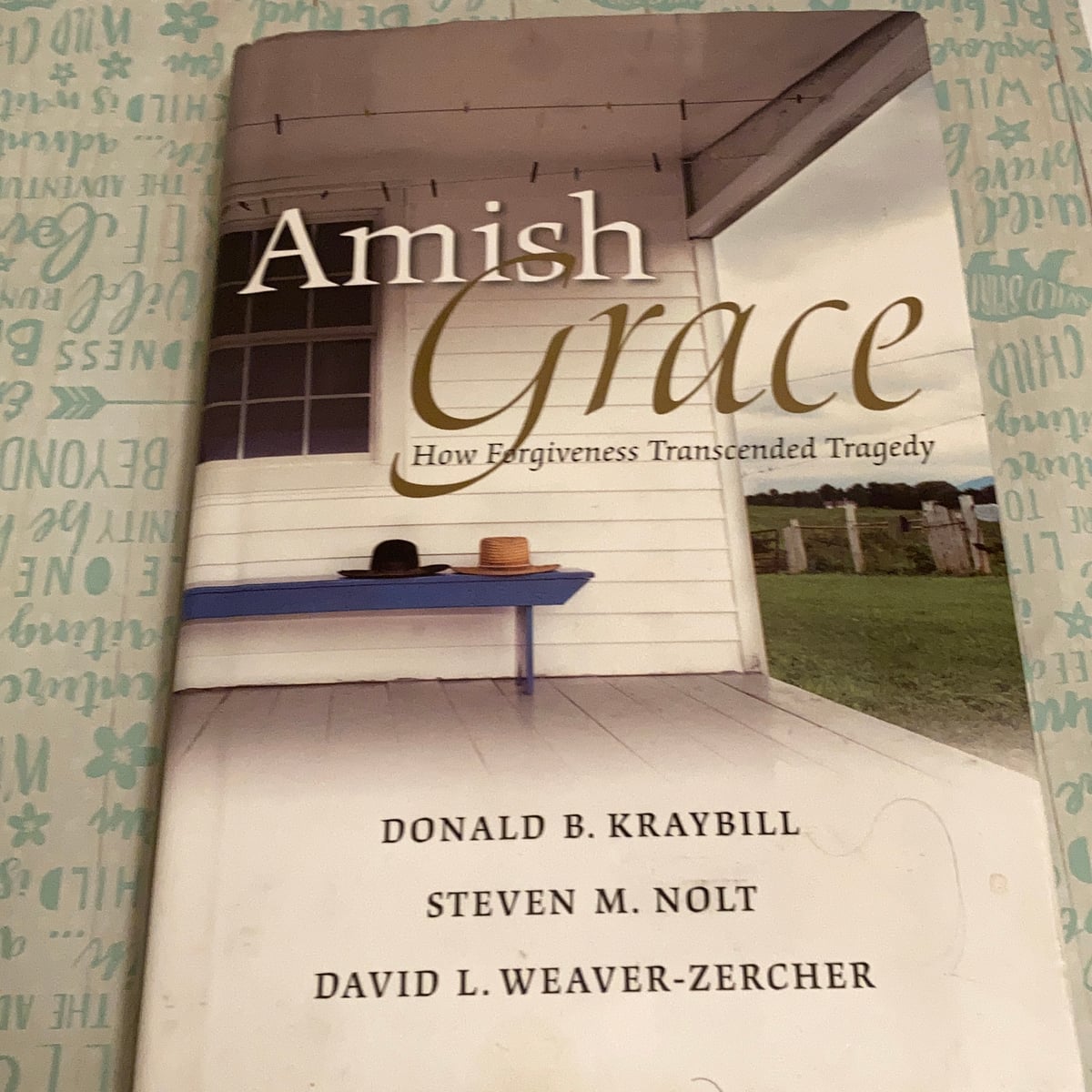 Amish Grace by Donald B. Kraybill, Hardcover Pangobooks