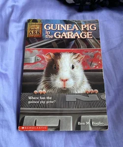 Guinea Pig in the Garage