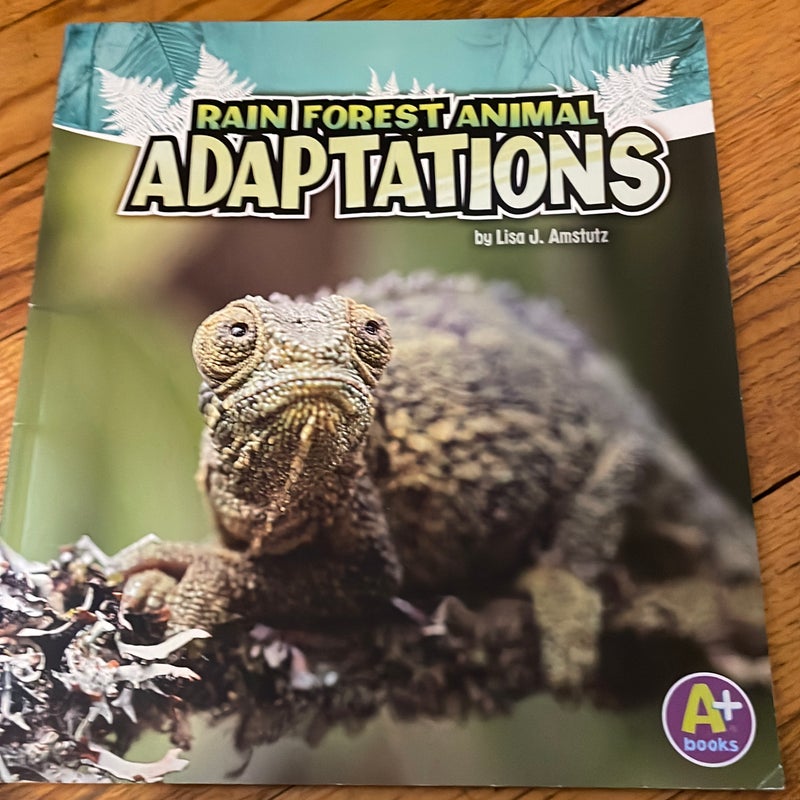 Rain Forest Animal Adaptations