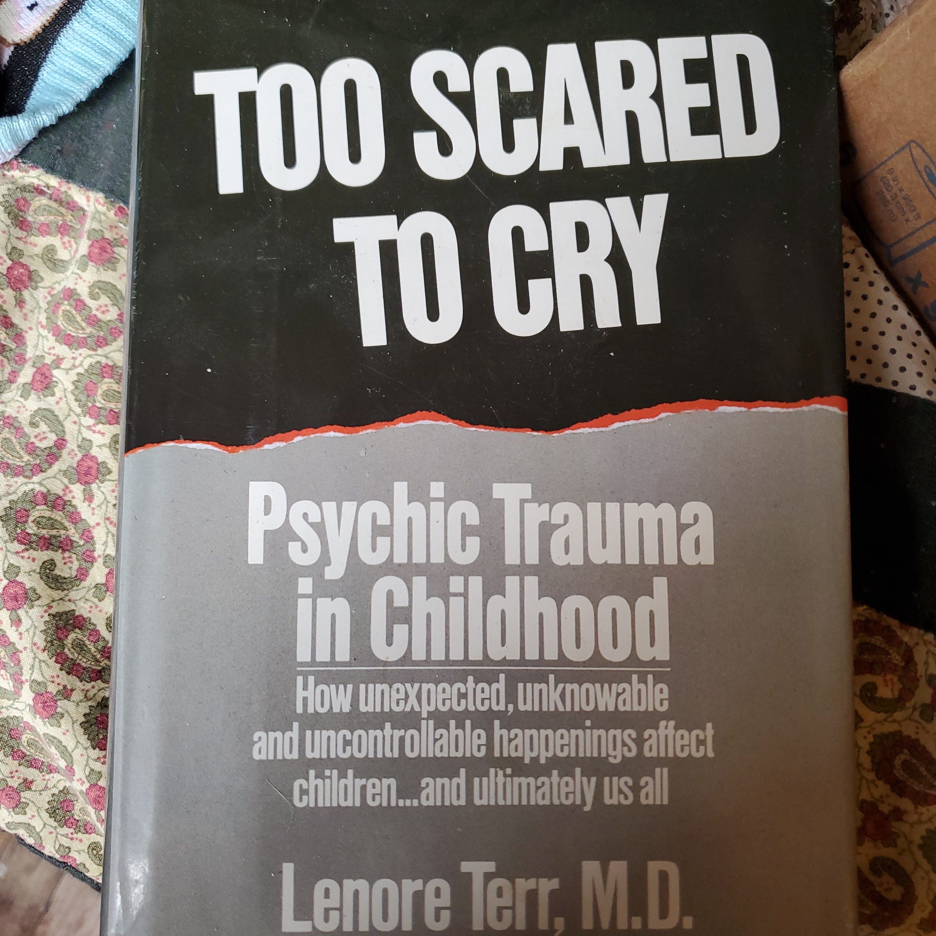 Too Scared to Cry