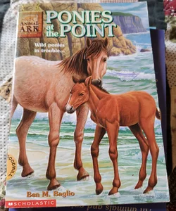 Ponies at the point