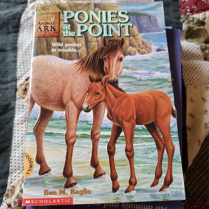 Ponies at the point