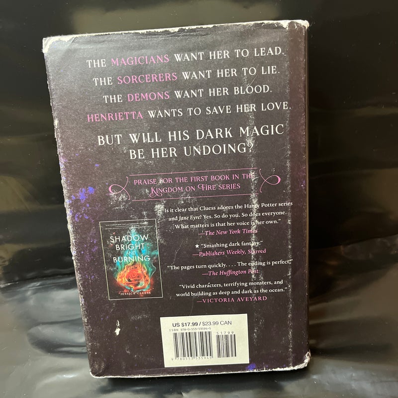 A Poison Dark and Drowning (Kingdom on Fire, Book Two)