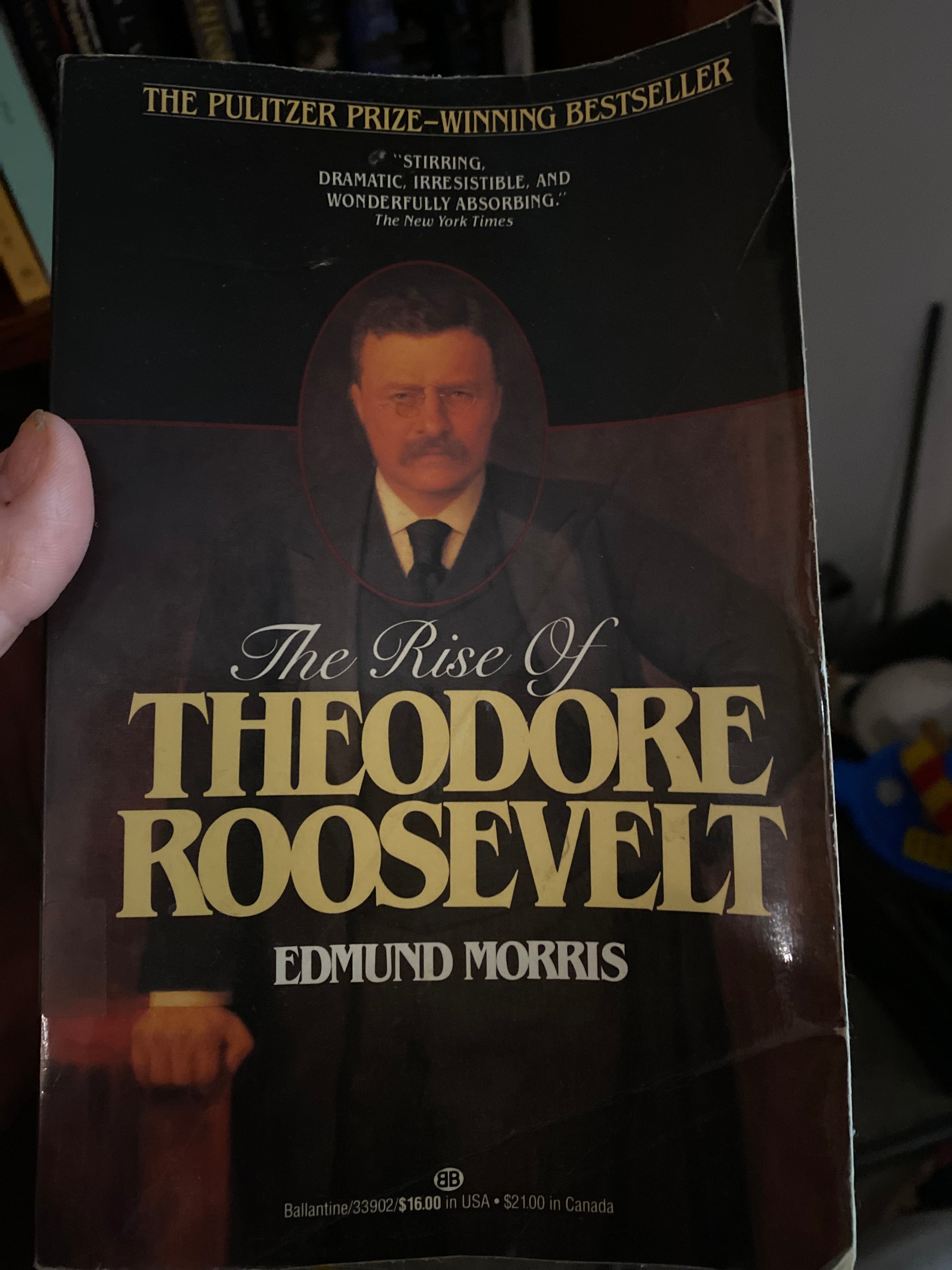 The Rise of Theodore Roosevelt