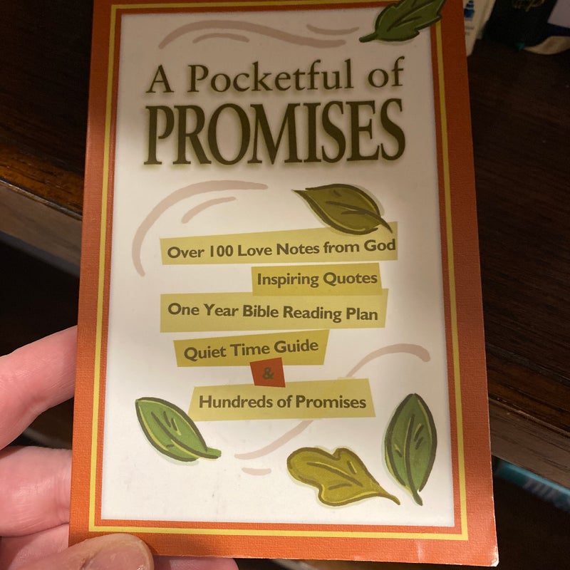 Pocketful of Promises - Original