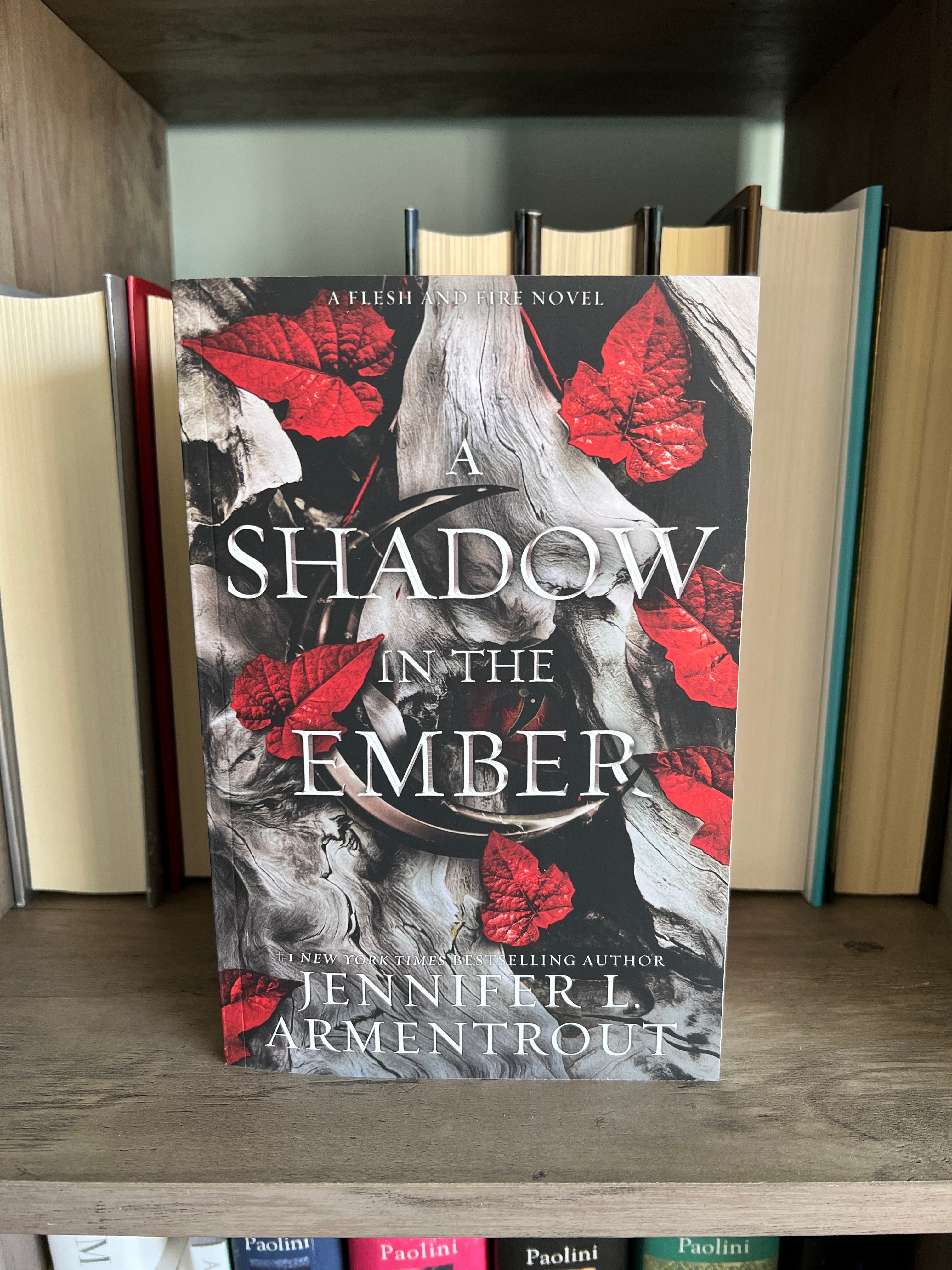 A Shadow in the Ember