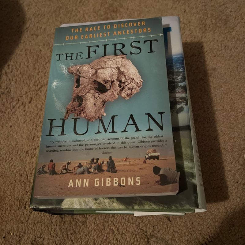 The First Human by Ann Gibbons