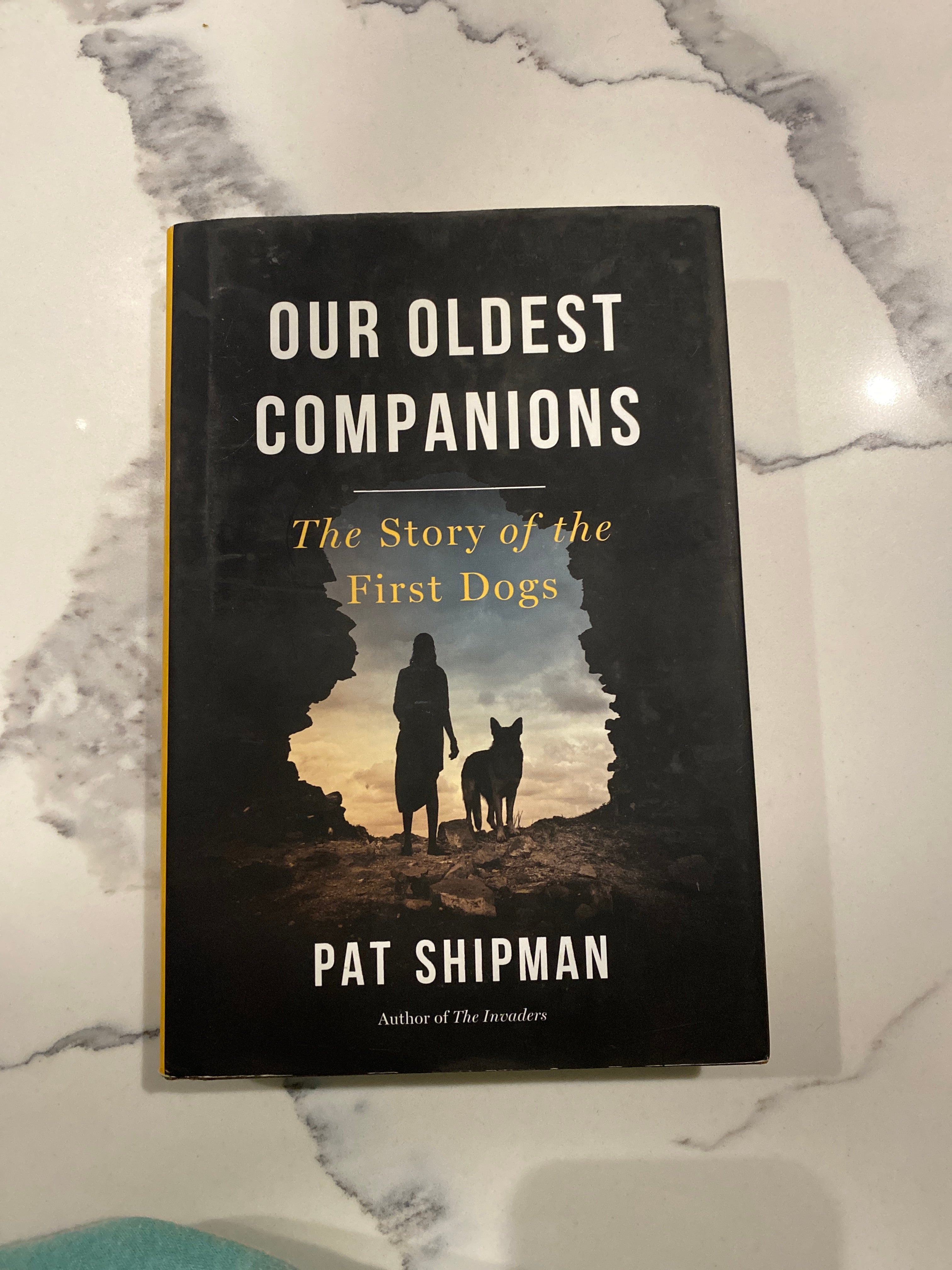 Our Oldest Companions