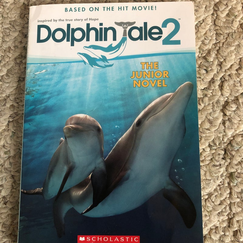 Dolphin Tale 2