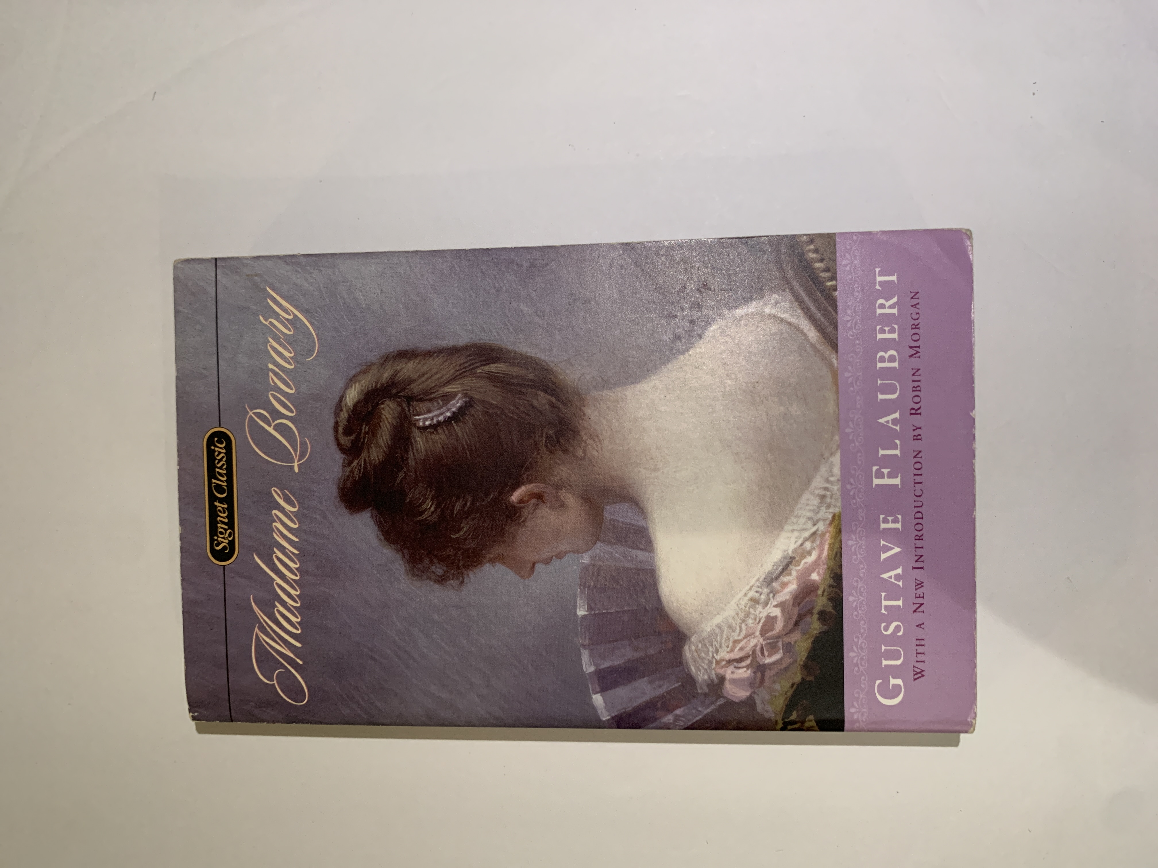 0451528204 book cover