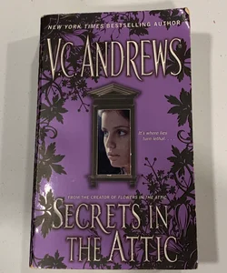 Secrets in the attic