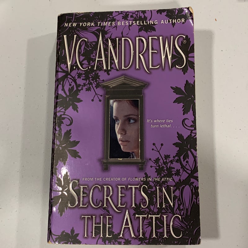 Secrets in the attic