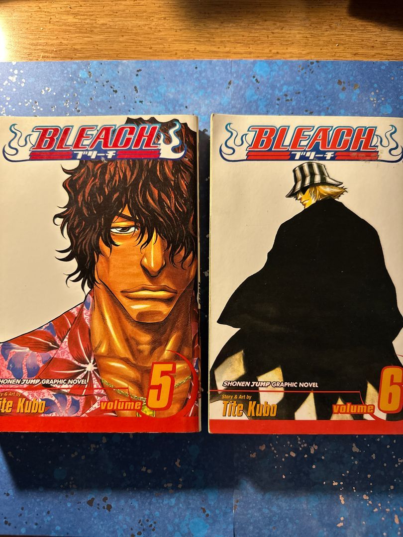 Bleach, Vol. 5