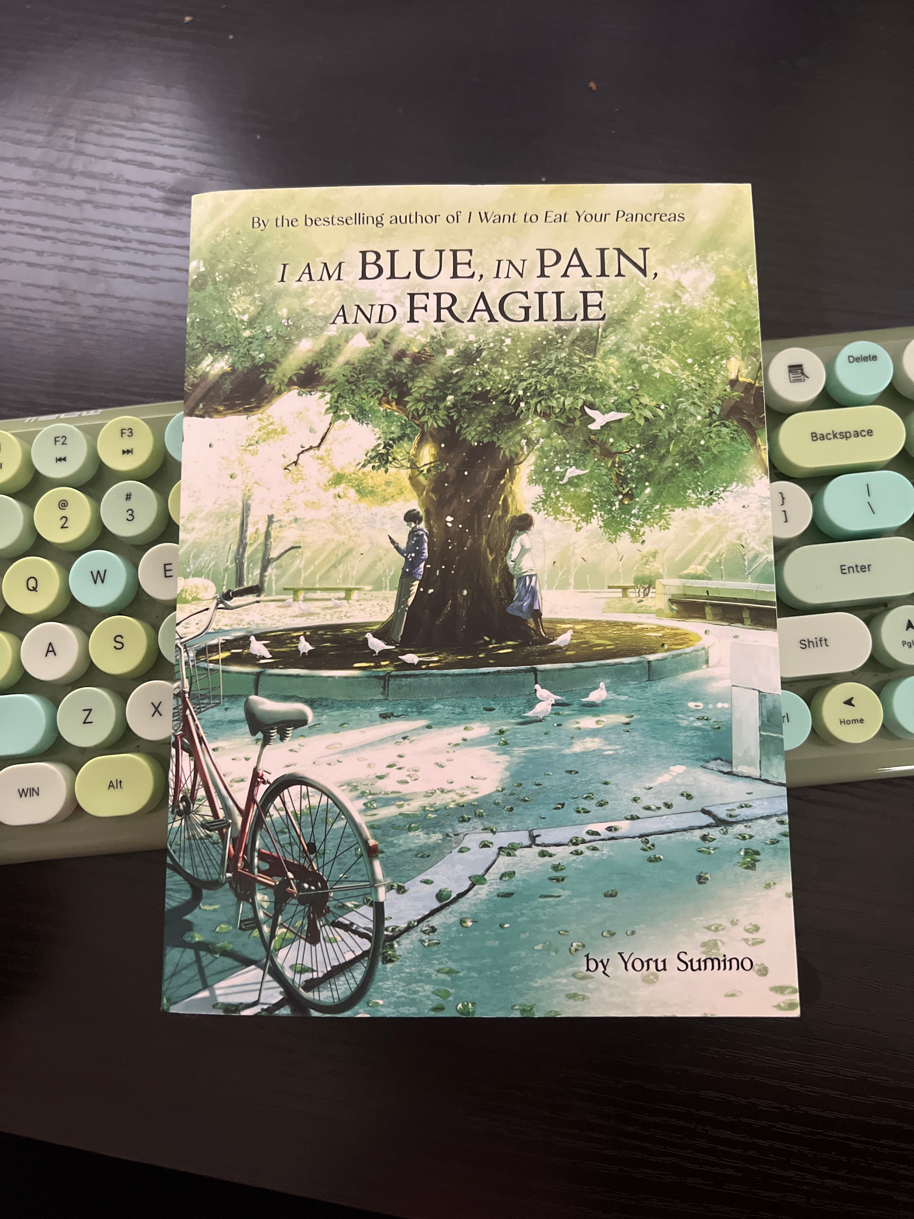 I Am Blue, in Pain, and Fragile (Light Novel)