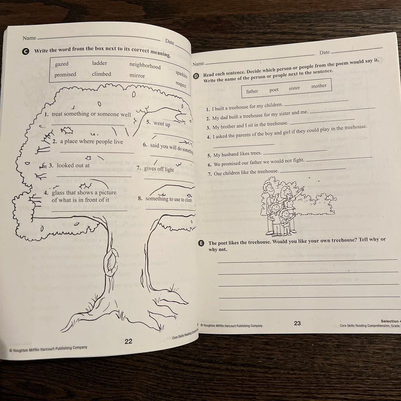 Steck-Vaughn Core Skills Reading Comprehension