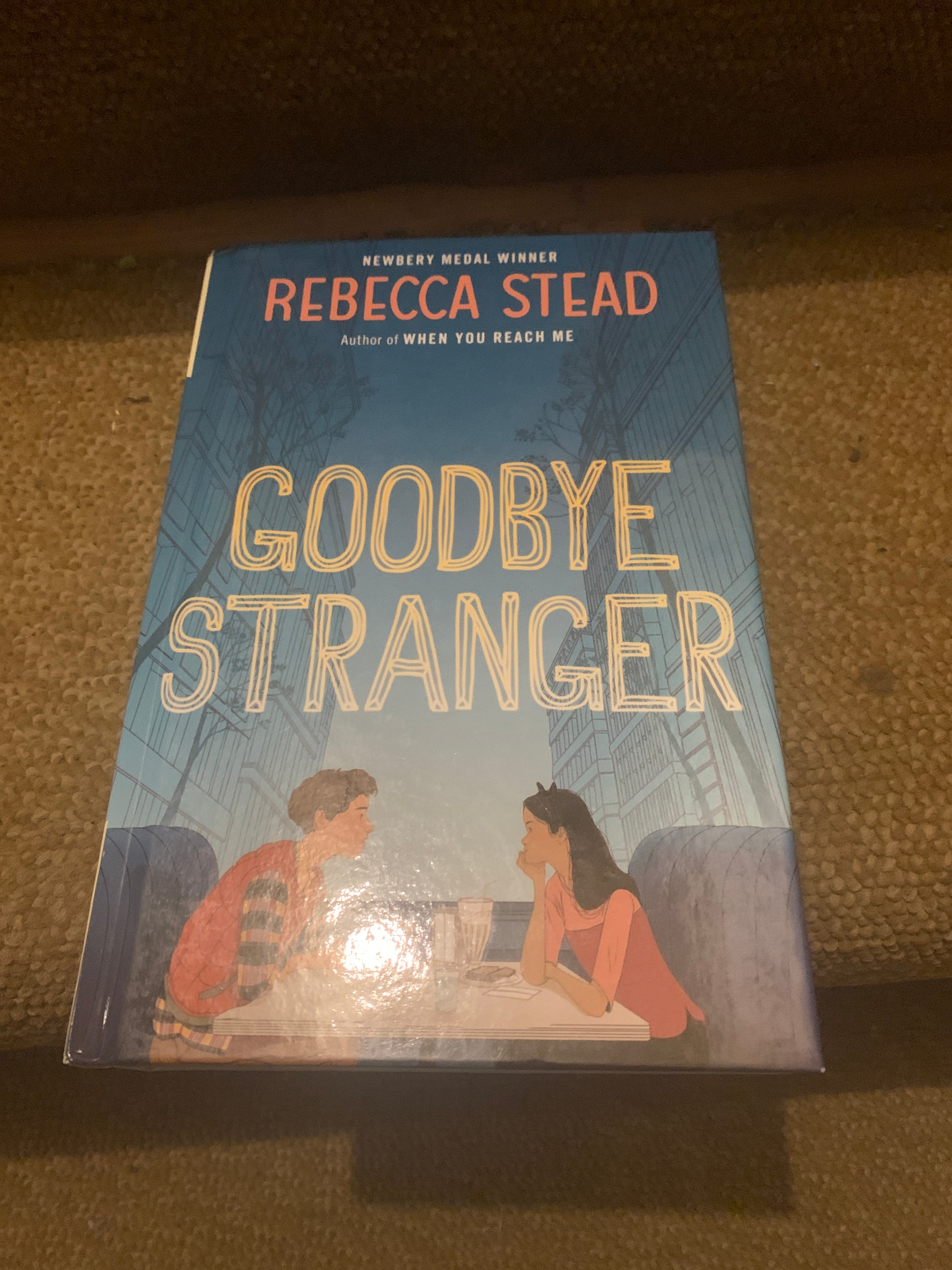 Goodbye Stranger