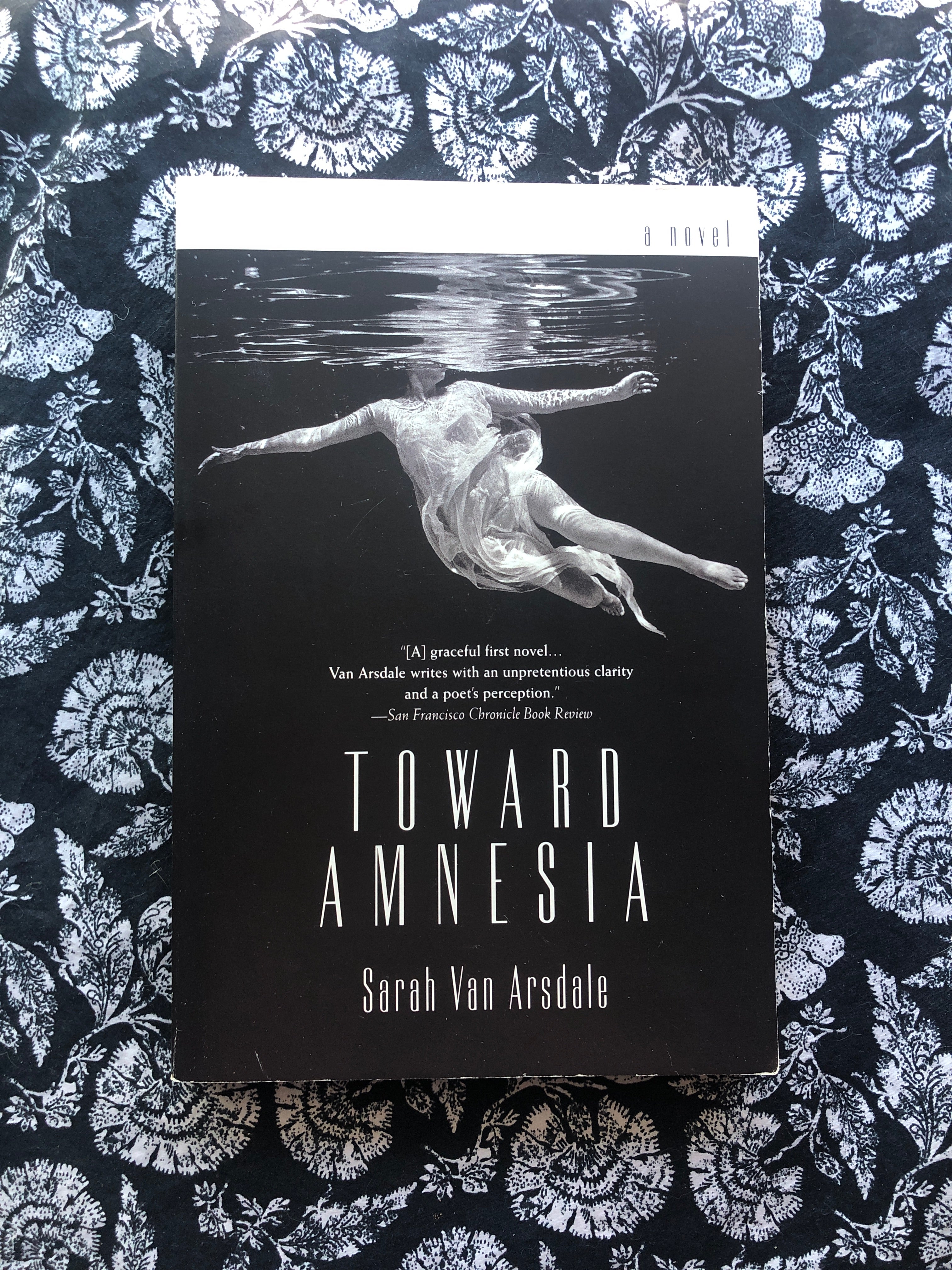 Toward Amnesia