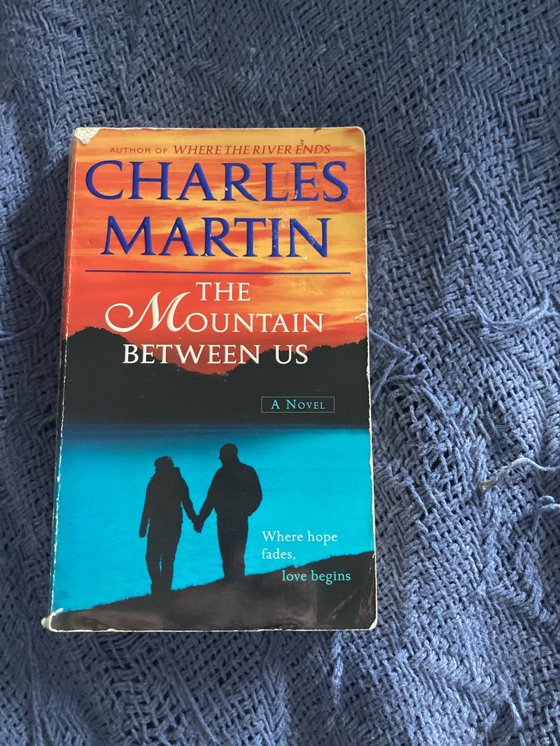 The Mountain Between Us