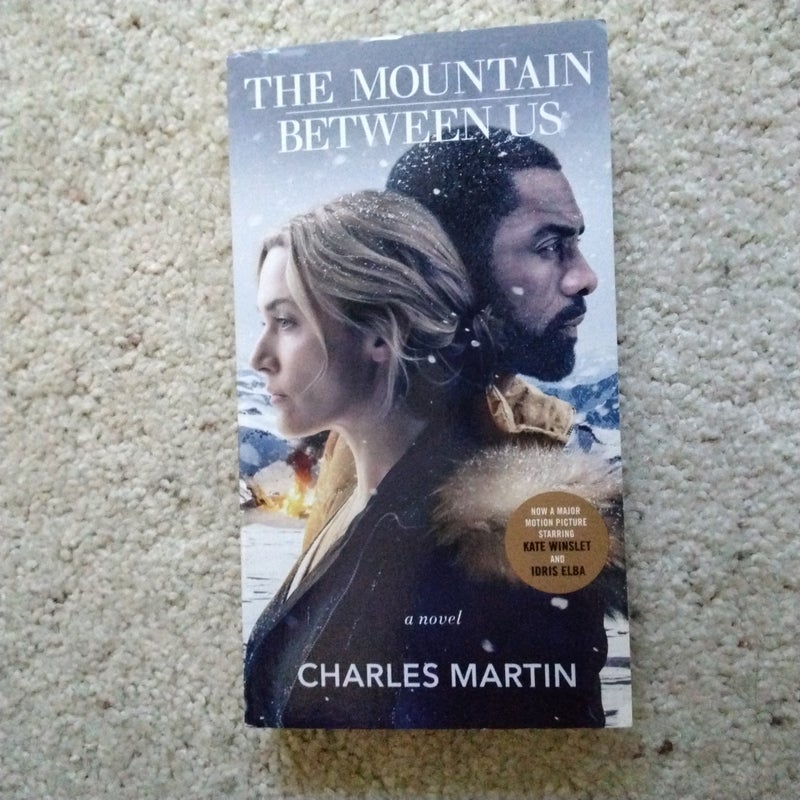 The Mountain Between Us