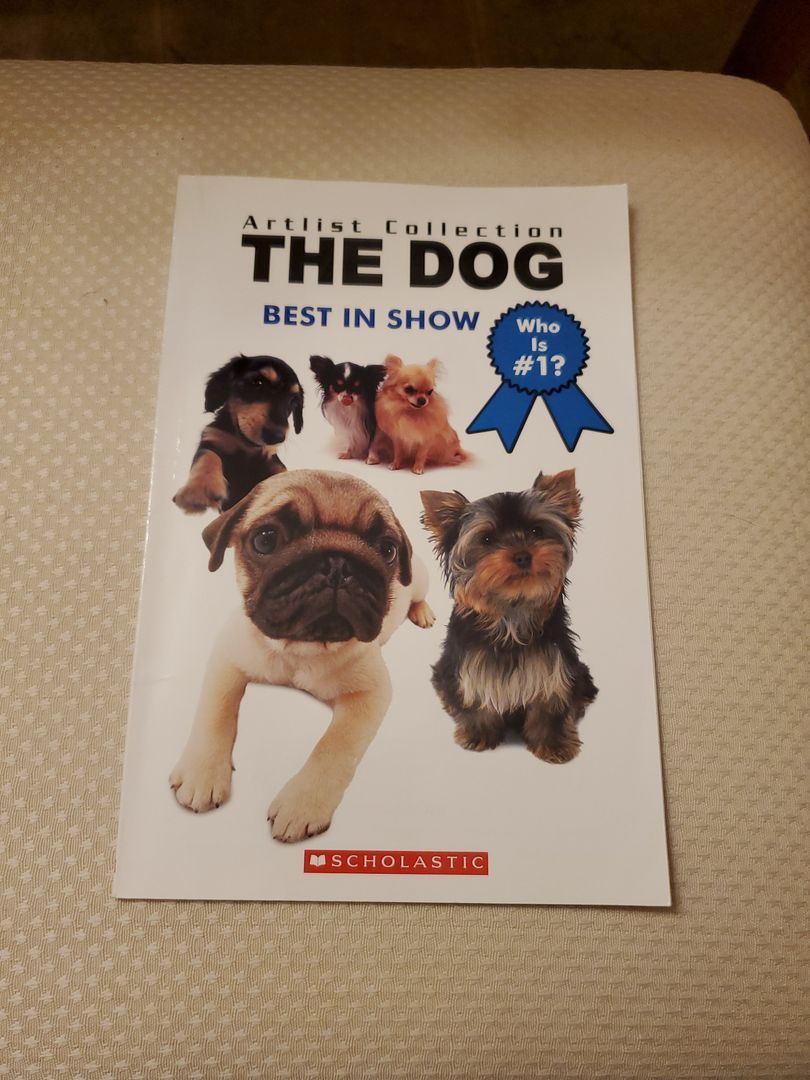 Artist Collection: The Dog by Scholastic, Paperback | Pangobooks
