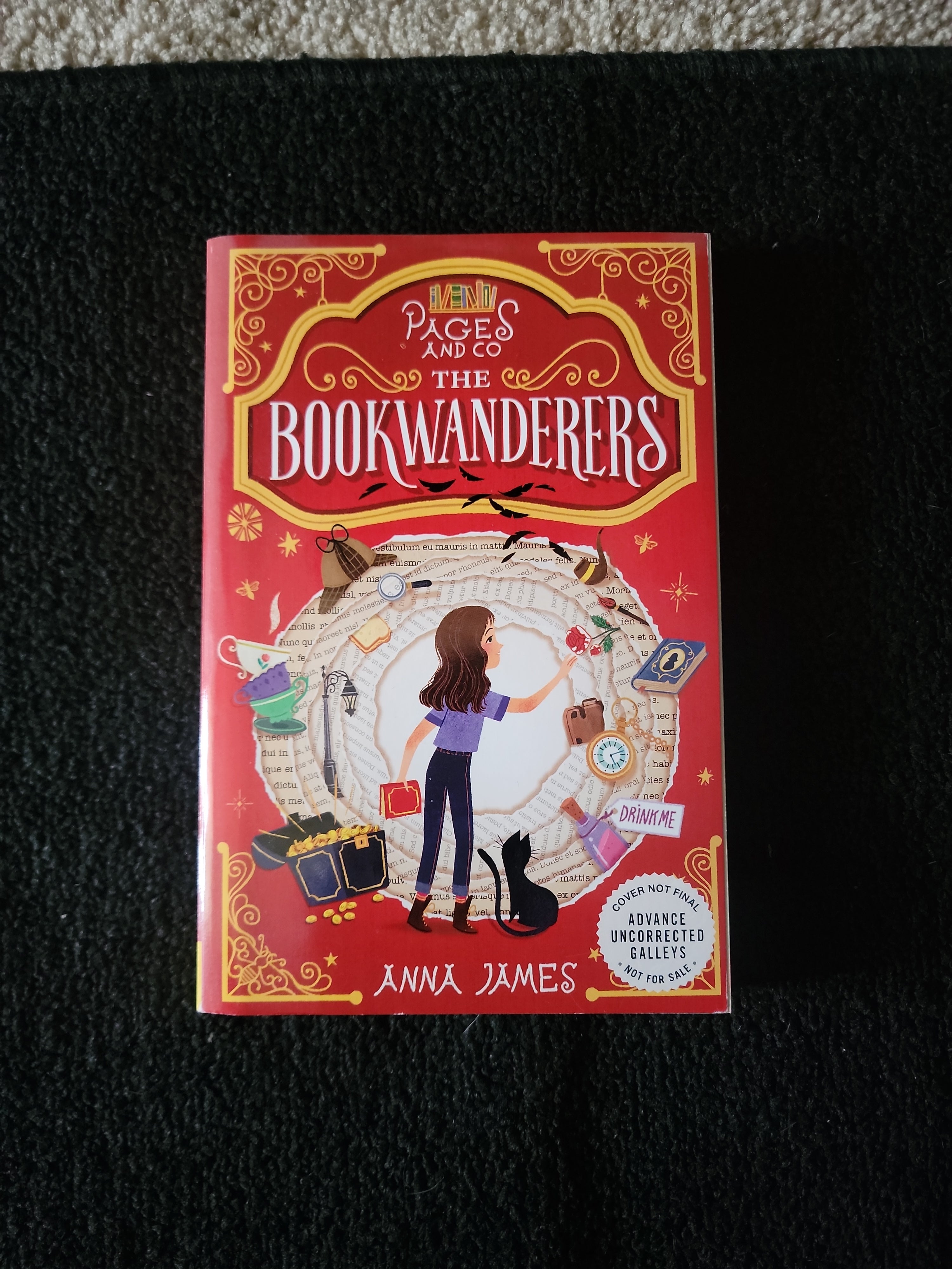 Pages and Co. : the Bookwanderers