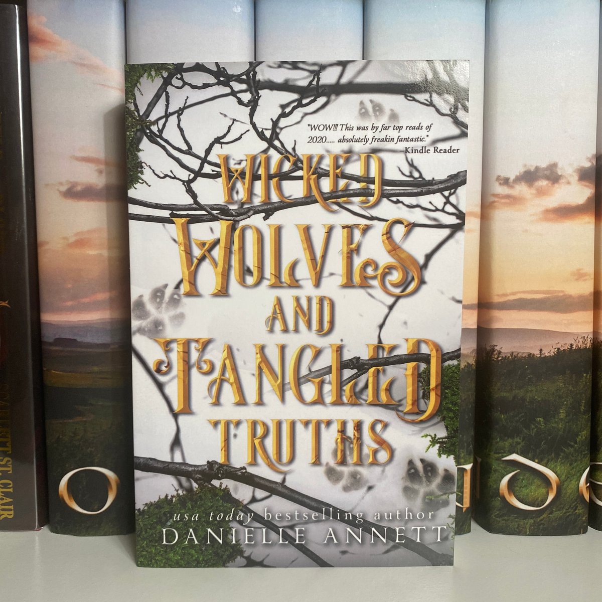 Wicked Wolves and Tangled Truths by Daniela Romero