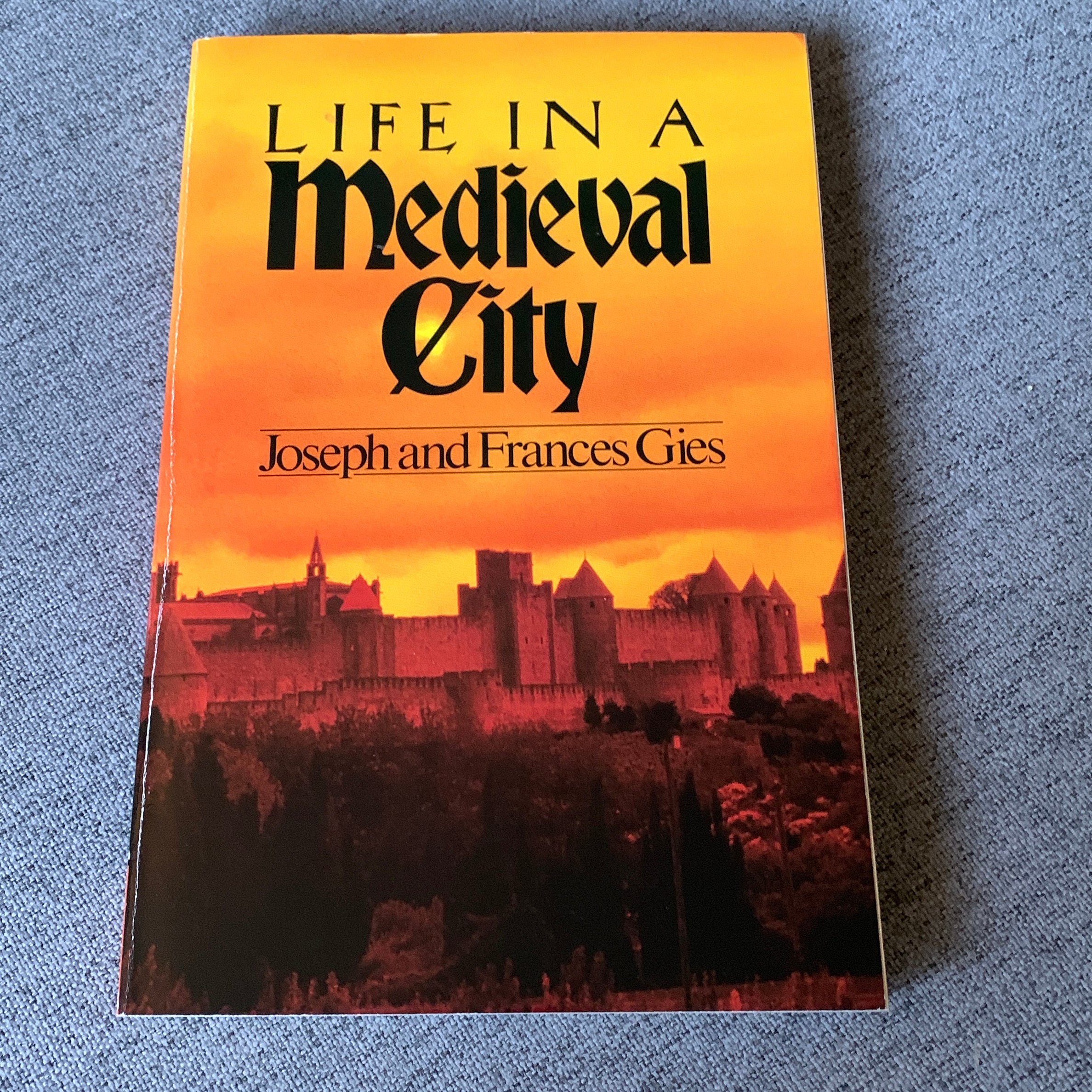 Life in a Medieval City