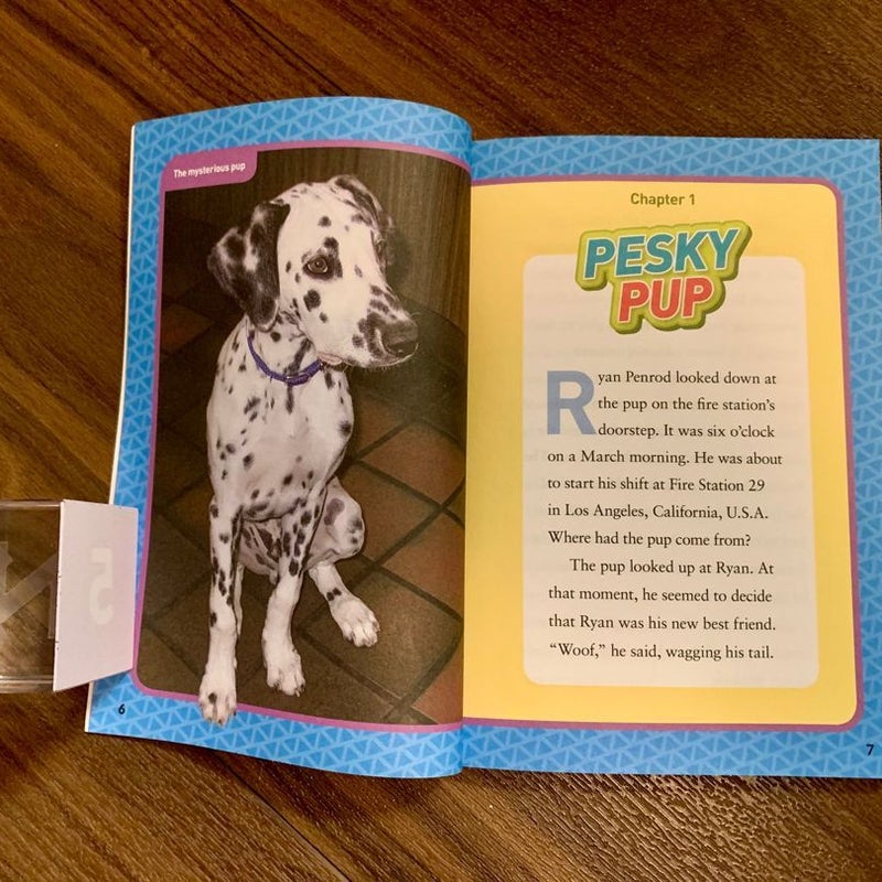 Hero Dogs! National Geographic Kids Chapters