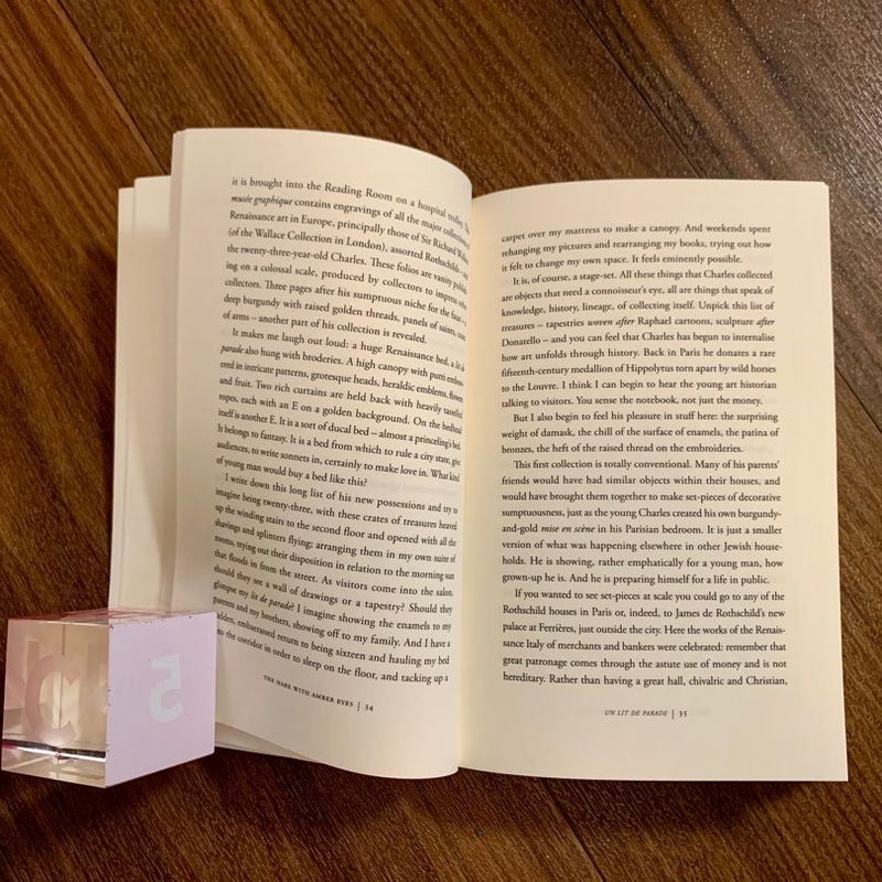 The Hare with Amber Eyes