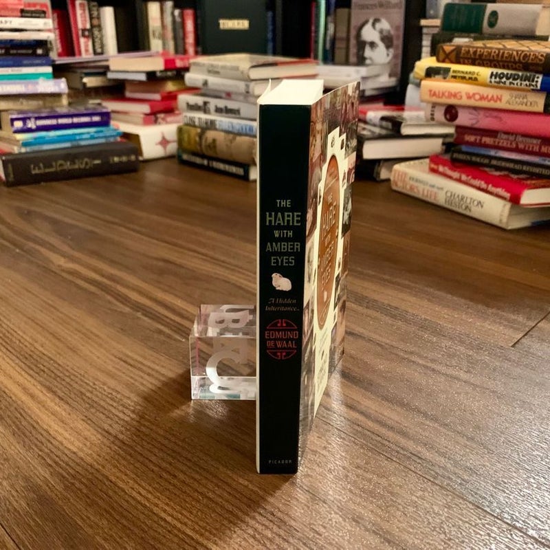 The Hare with Amber Eyes