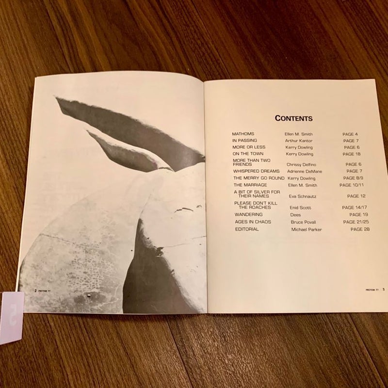 Pro Tem 1977 (Vol. 11) - The Pace University Literary Magazine 