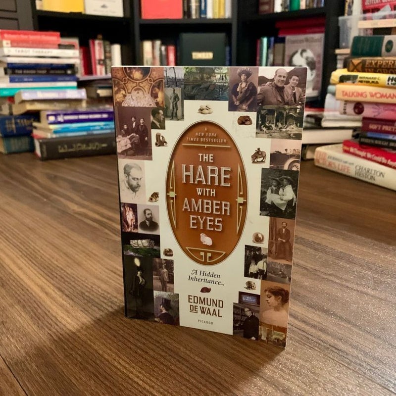 The Hare with Amber Eyes