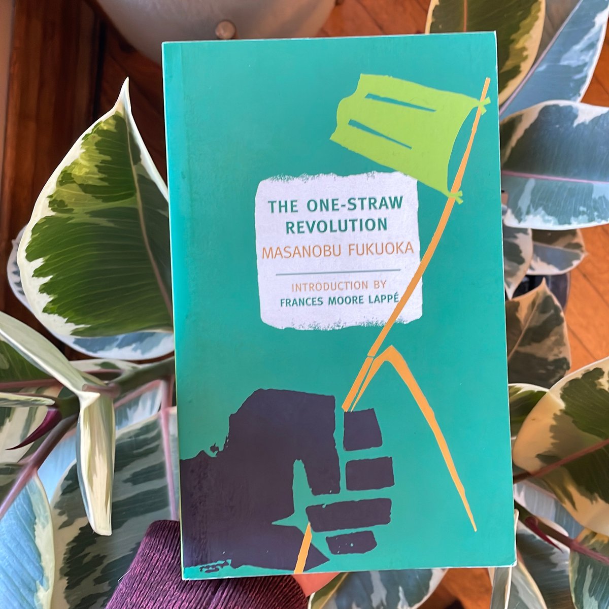 The One-Straw Revolution by Masanobu Fukuoka, Wendell Berry, Frances ...