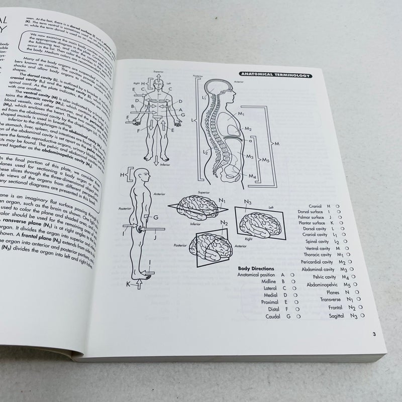Anatomy Coloring Workbook