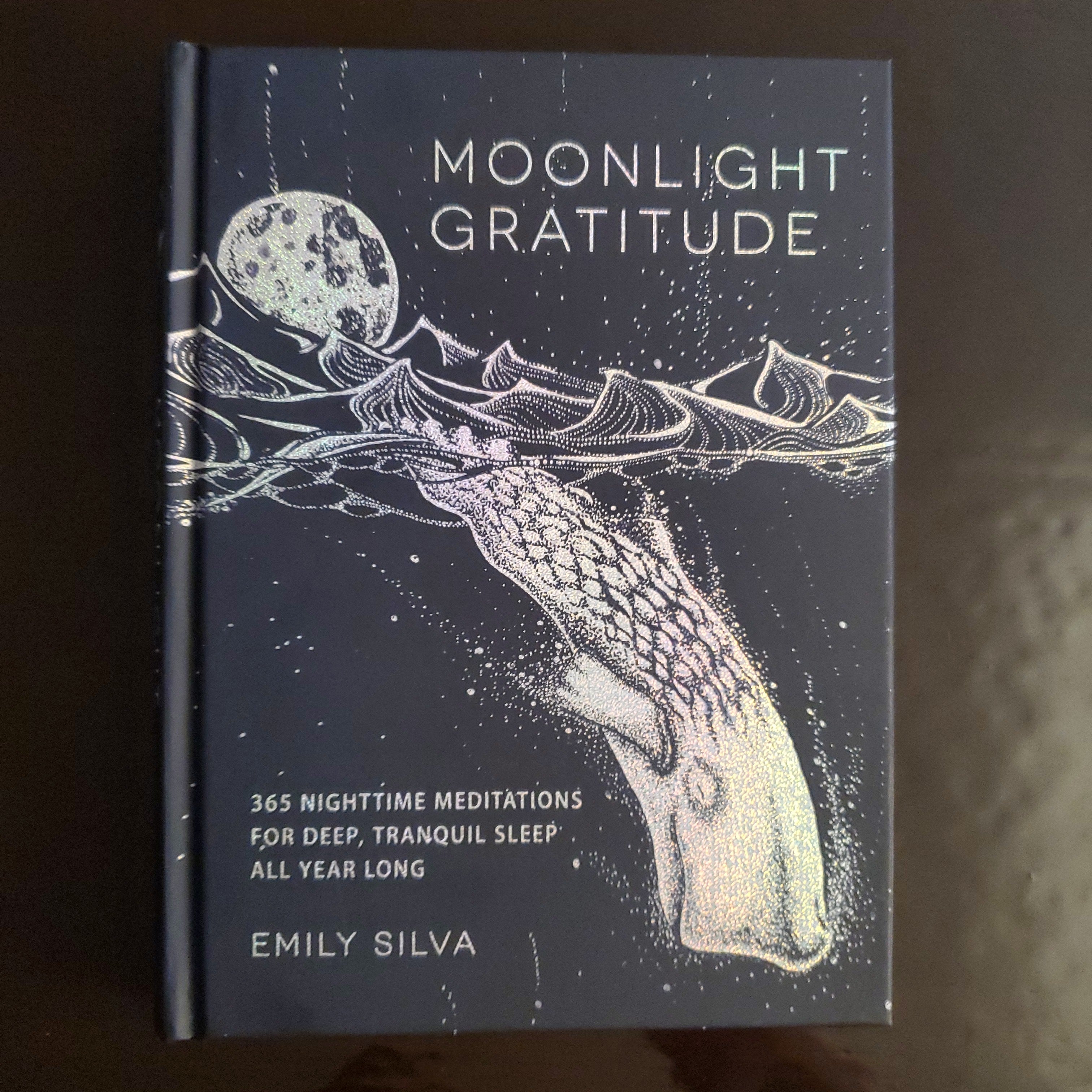 Moonlight Gratitude