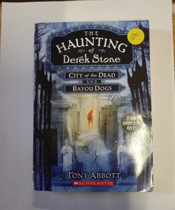 The Haunting of Derek Stone