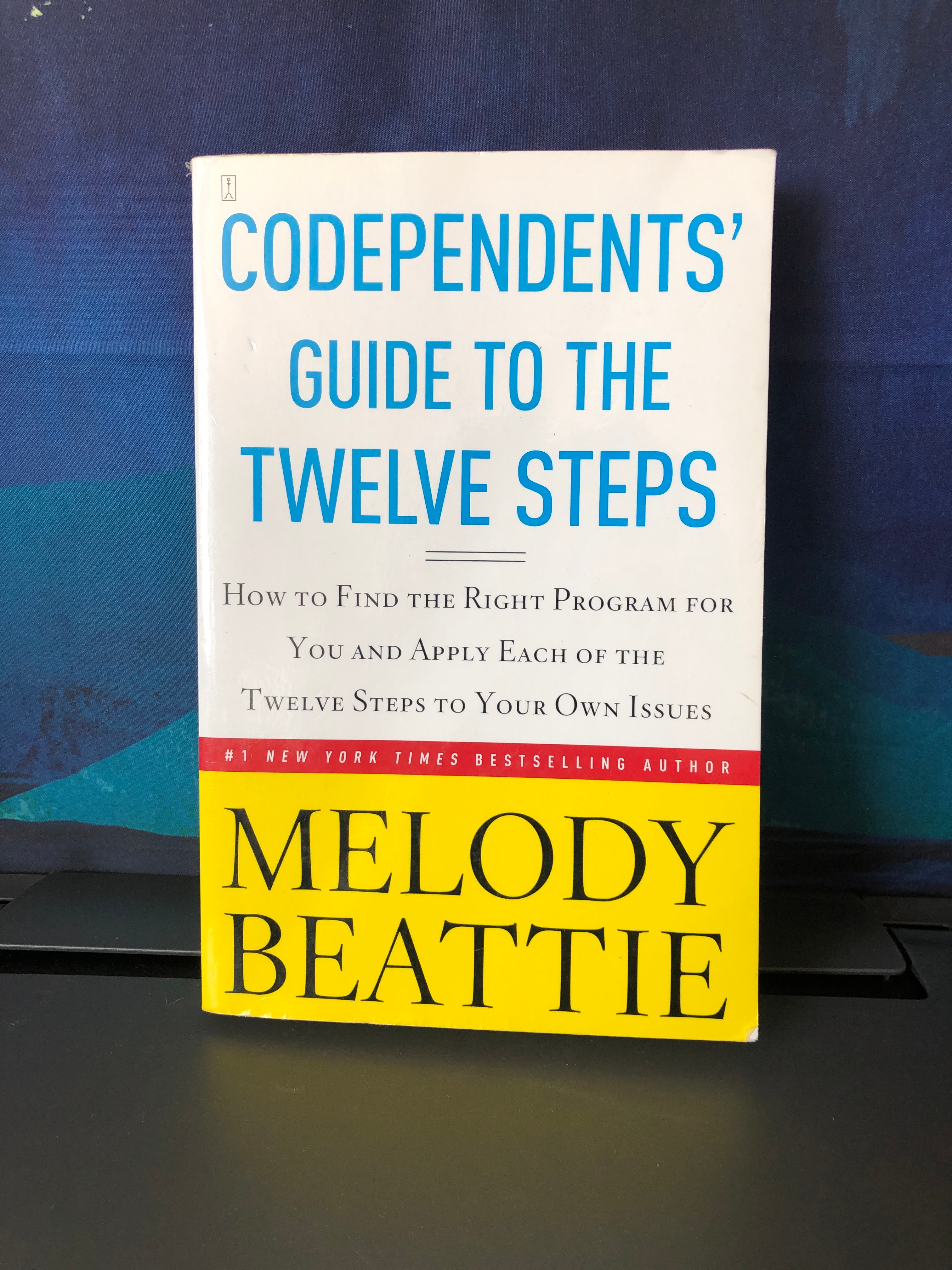 Codependent's Guide to the Twelve Steps