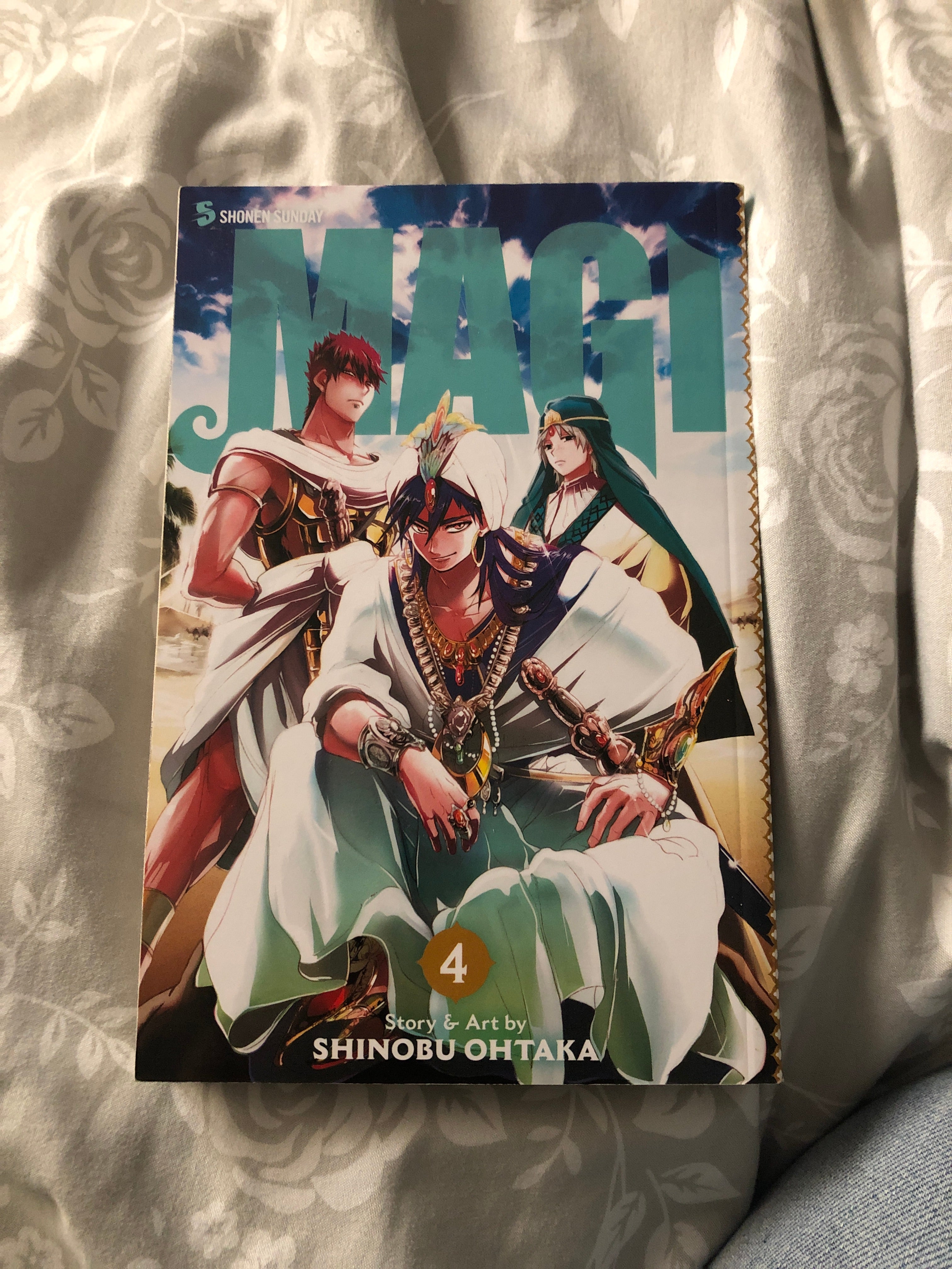 Magi: the Labyrinth of Magic, Vol. 4