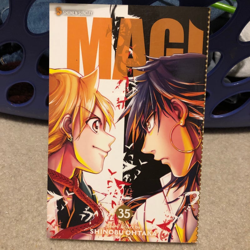 Magi: the Labyrinth of Magic, Vol. 35