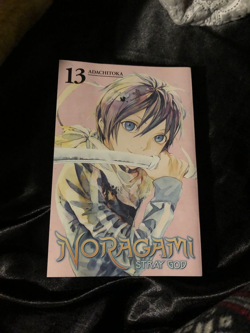 Noragami: Stray God 13