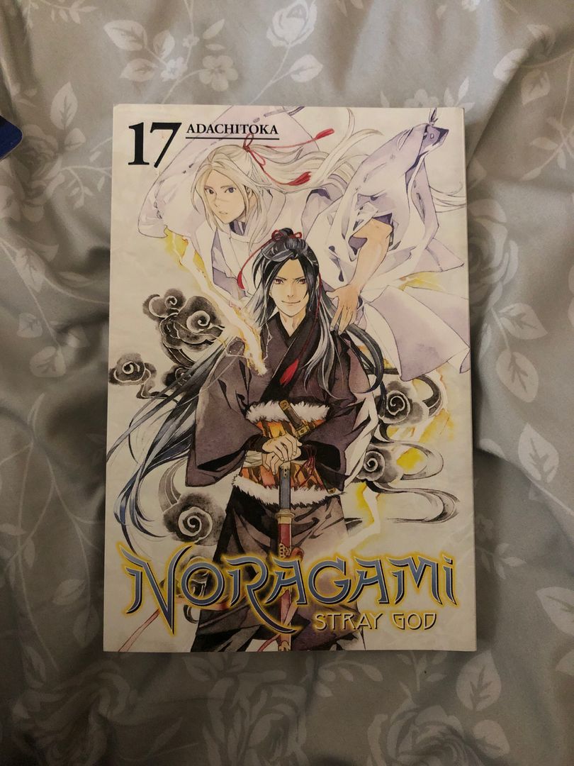 Noragami: Stray God 17