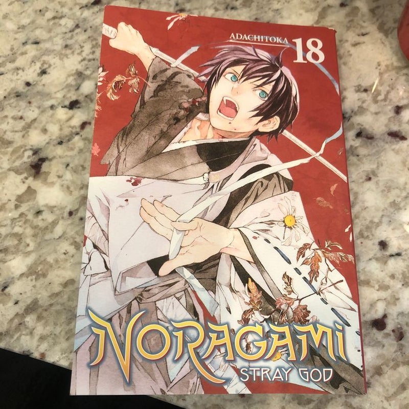 Noragami: Stray God 18
