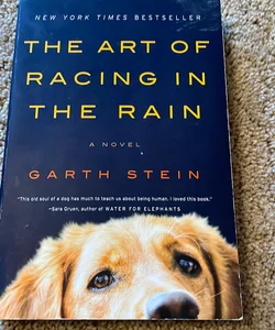 The Art of Racing in the Rain