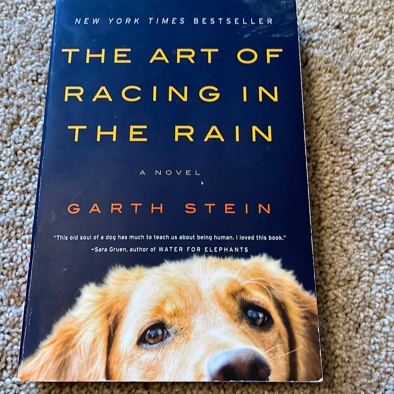 The Art of Racing in the Rain