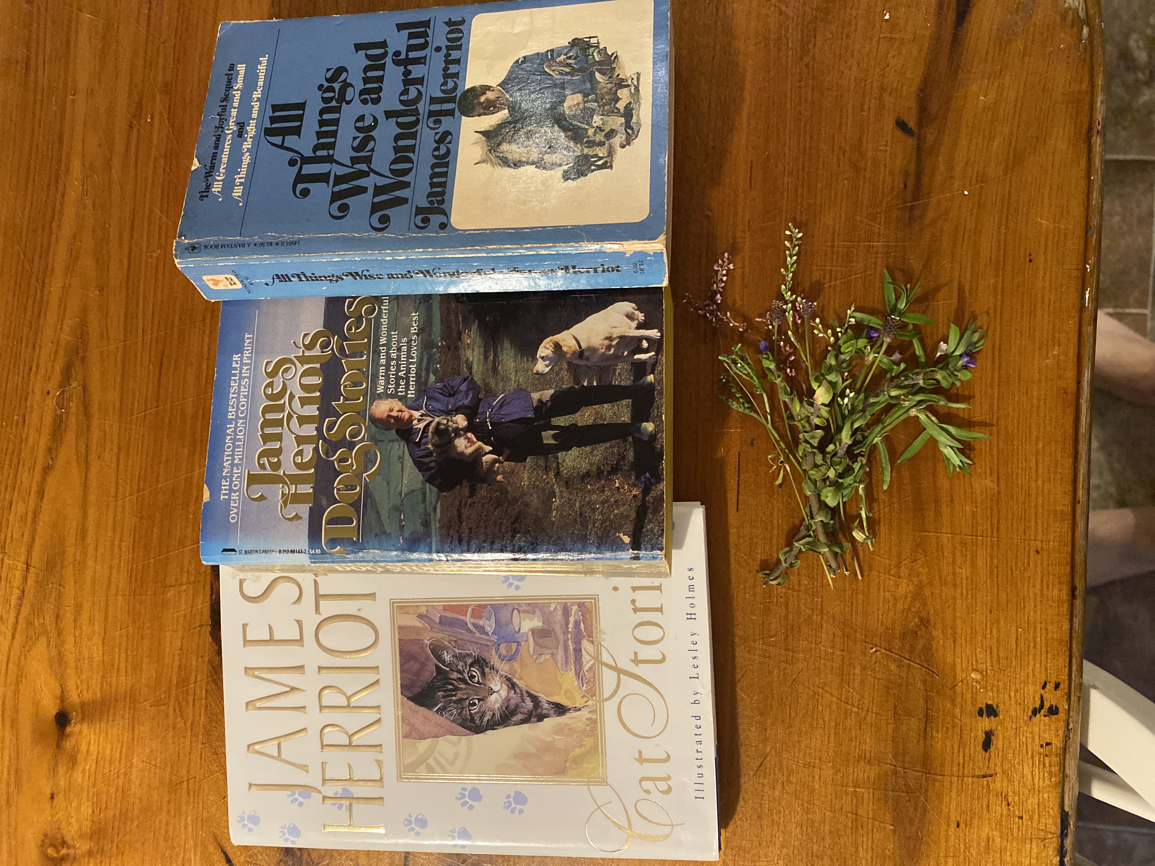 Cat Stories, All Things Wise and Wonderful and Dog Stories