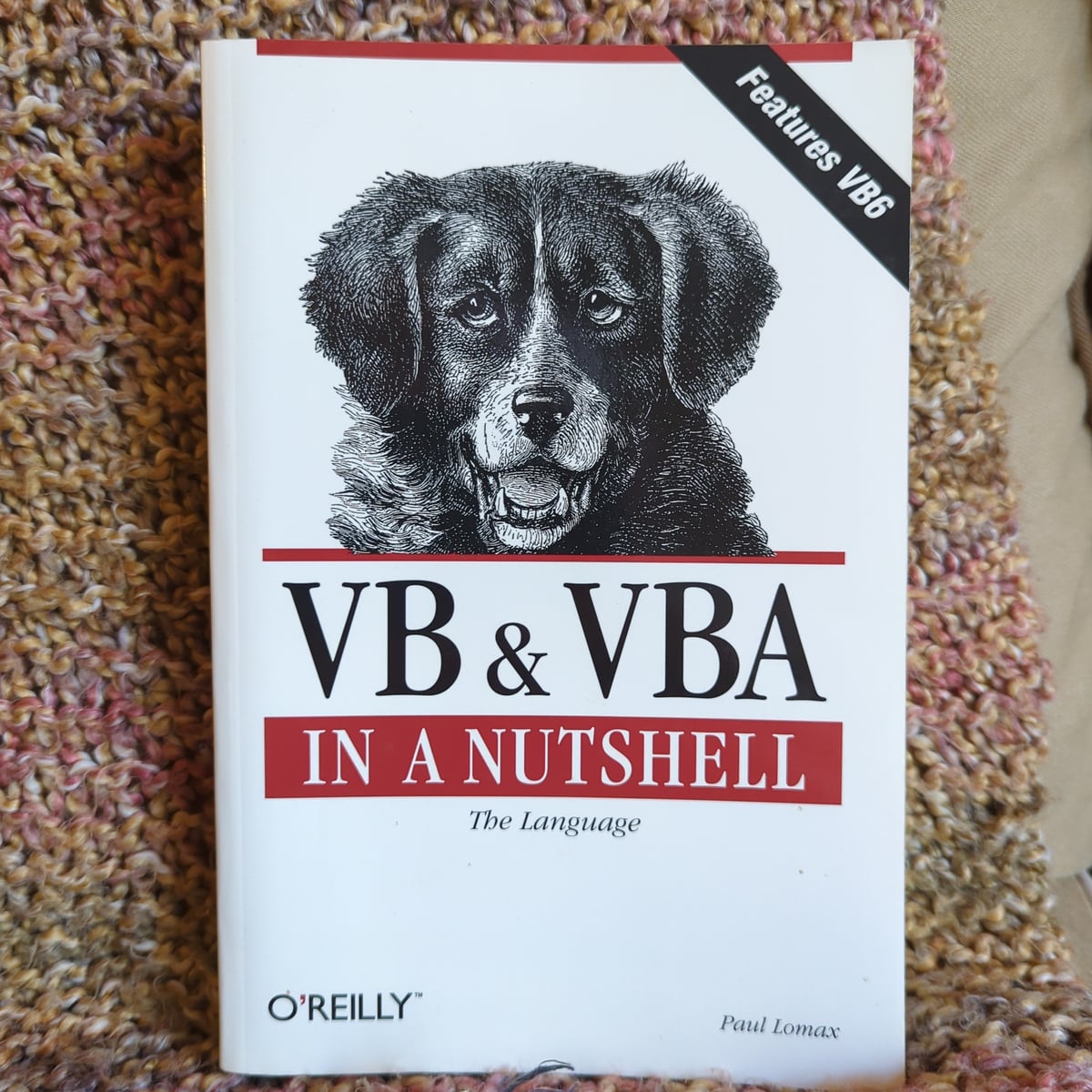 VB and VBA in a Nutshell: the Language by Paul Lomax