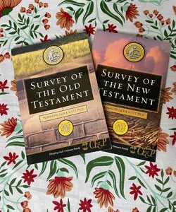 Survey of Old and New Testament 