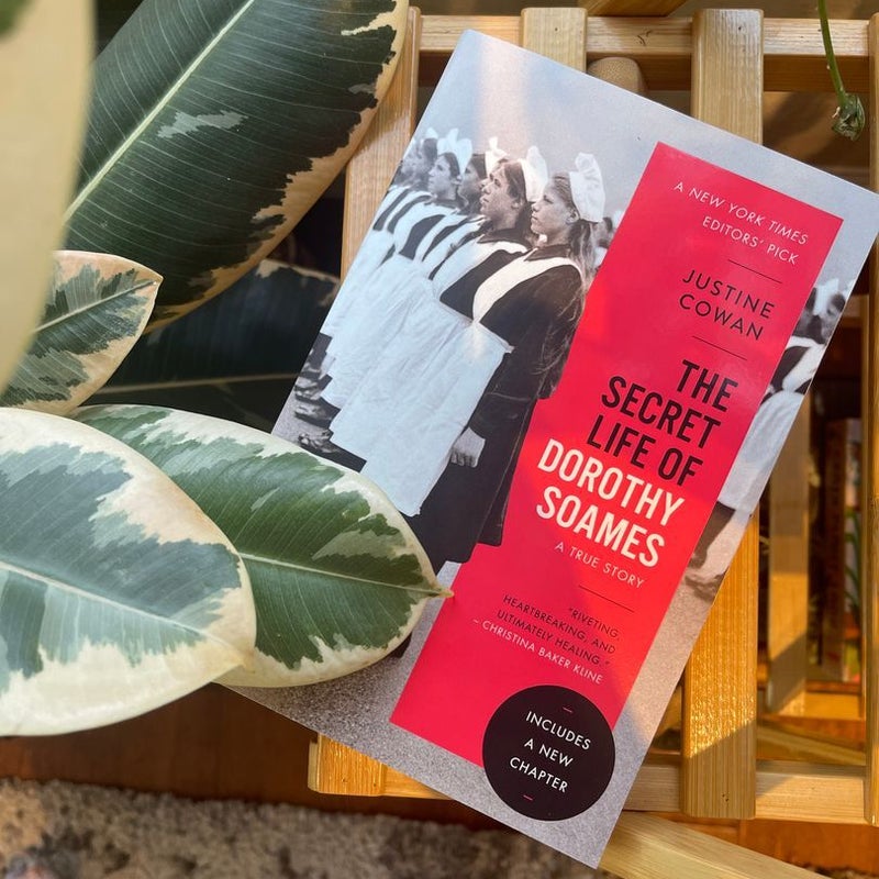 The Secret Life of Dorothy Soames