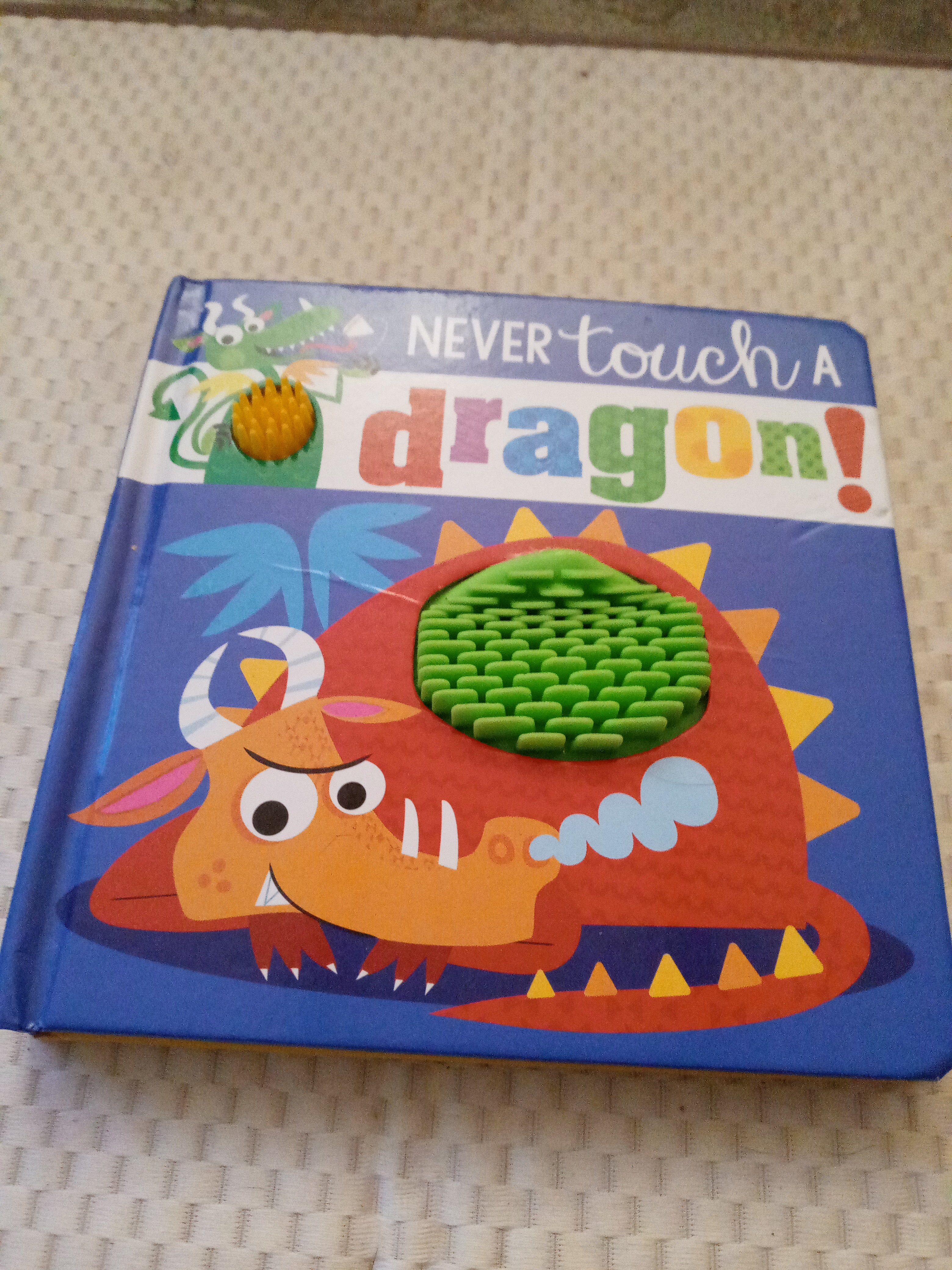 Never Touch a Dragon!